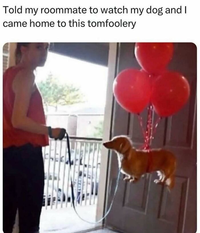 36 Memes That Prove Humor Connects Us All In Tough Times