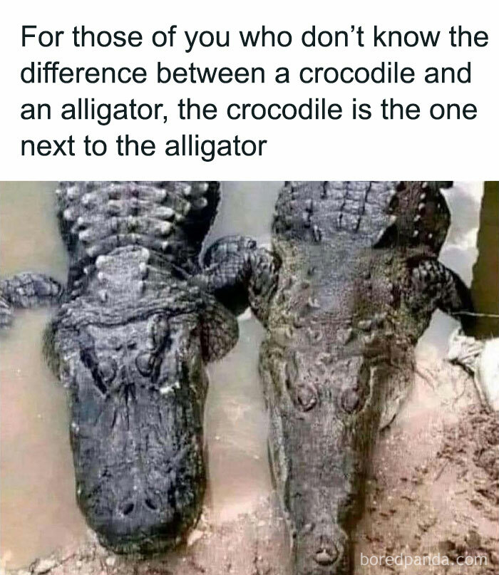 36 Memes That Prove Humor Connects Us All In Tough Times