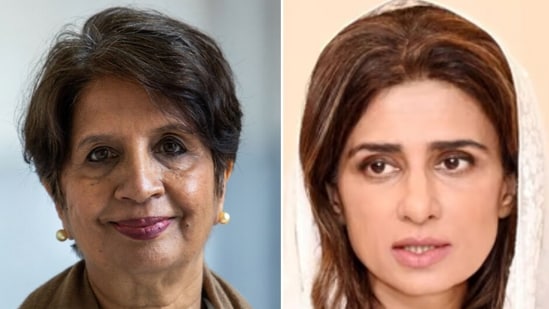Rare India-Pakistan moment amid war as ex-secy Nirupama Rao, ex ...