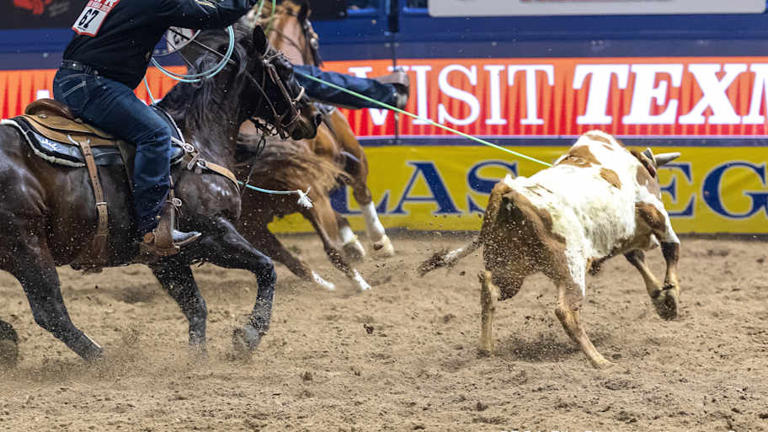 Team roping underdogs set world standings standard after RODEOHOUSTON