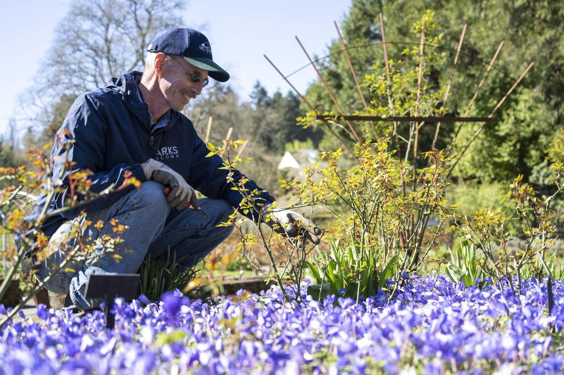 If you've been to Point Defiance, you know his work. Now 'plant addict ...