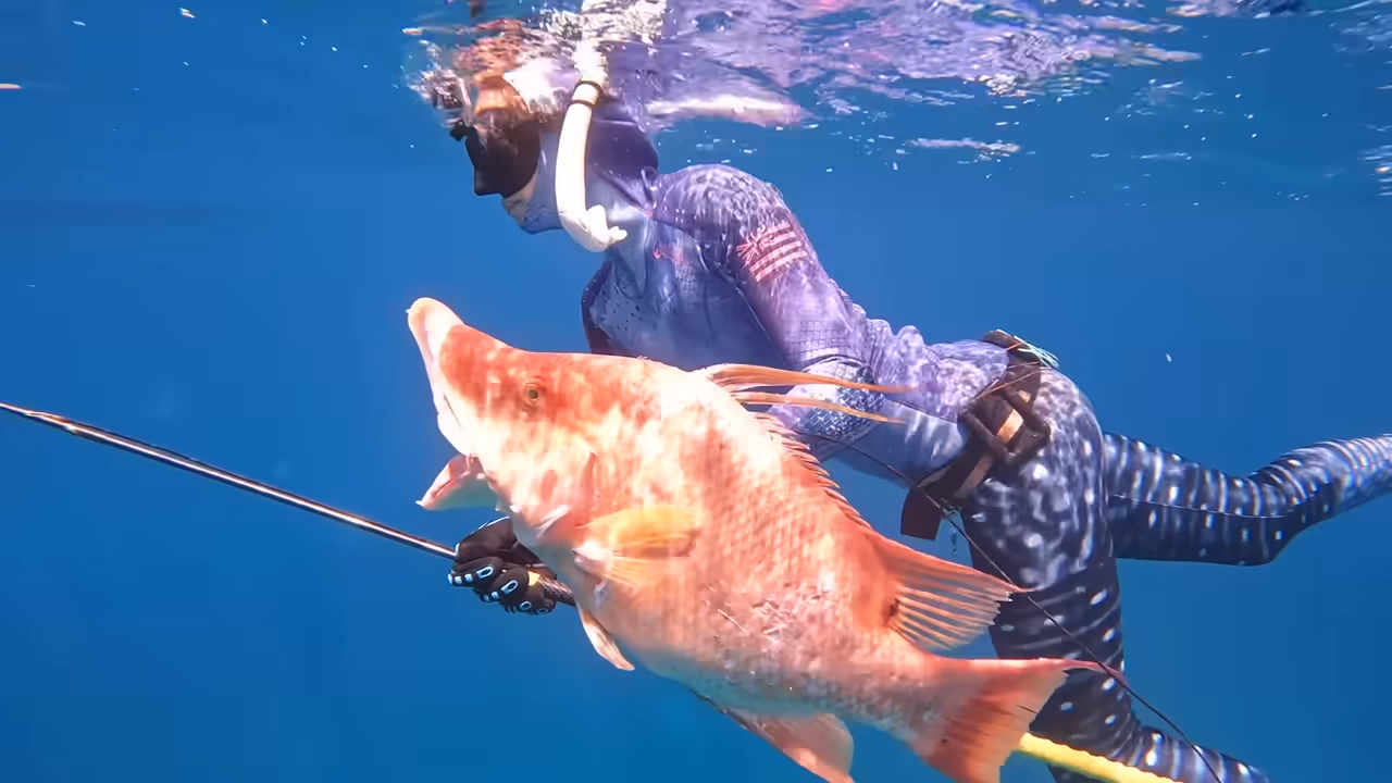 I missed the shot… then chased this fish for 15 minutes