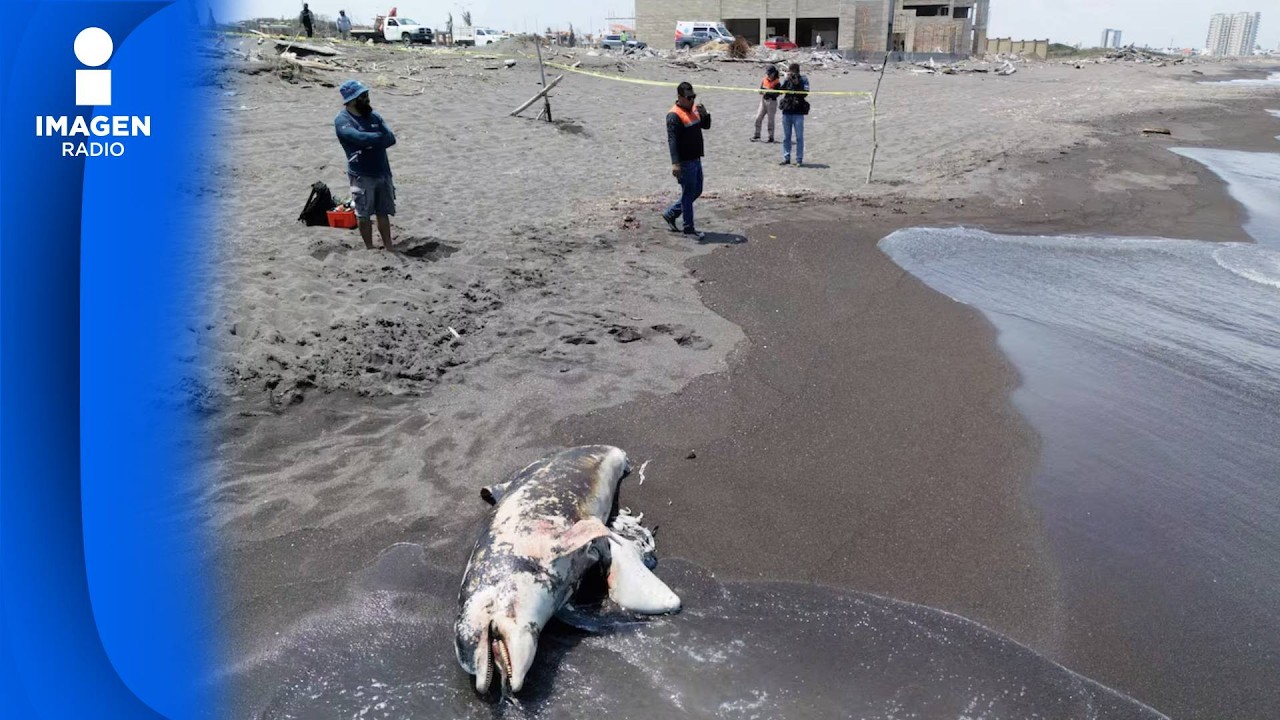 Derrame de hidrocarburo en Golfo de México golpea al sector pesquero