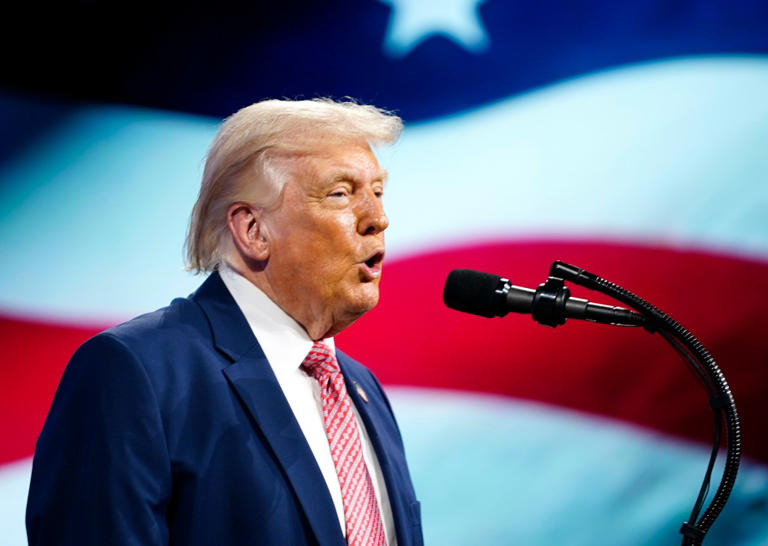 Trump rips ‘dumb’ Supreme Justices ahead of critical birthright ...
