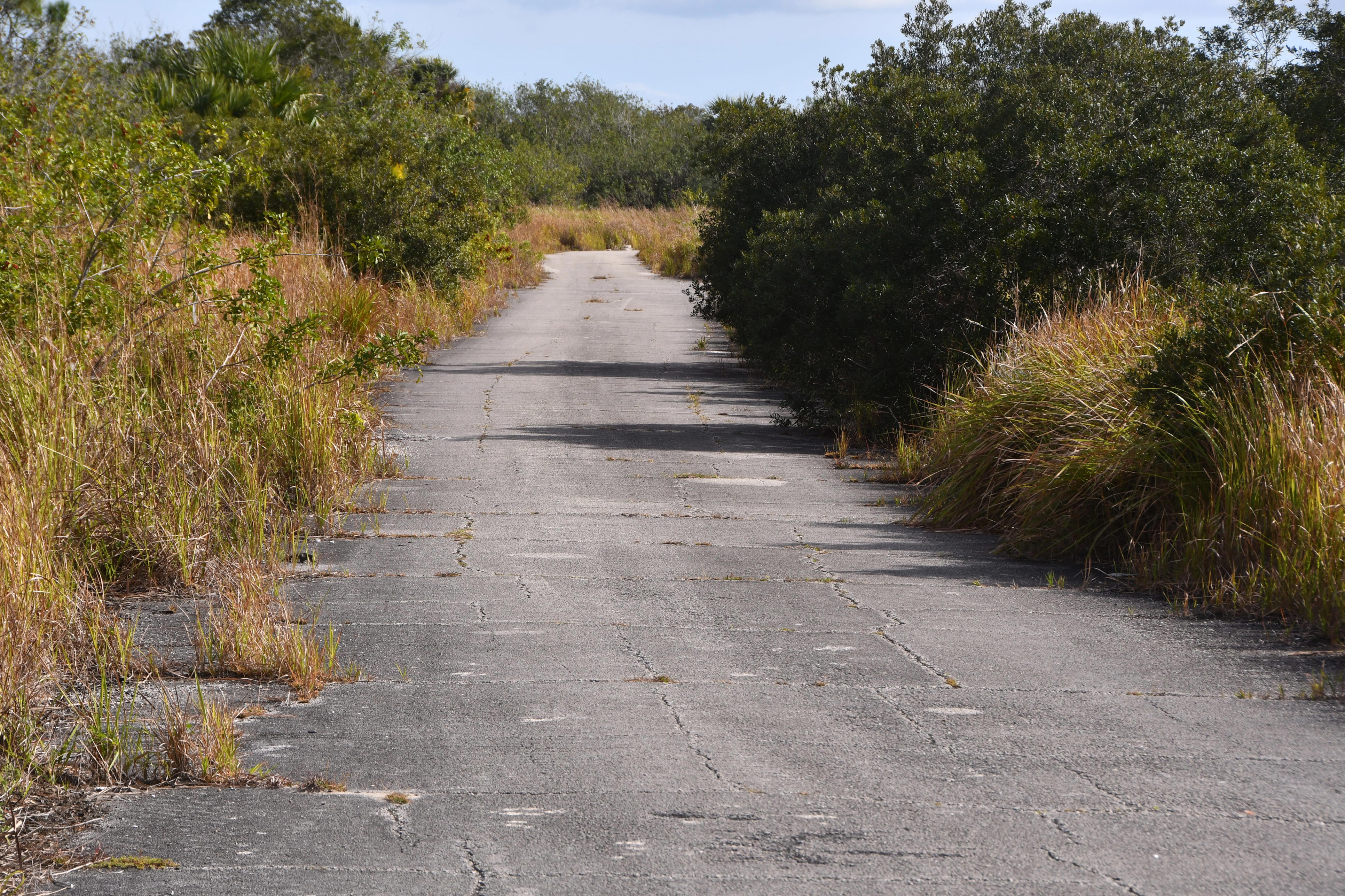 Brevard man arrested after human remains found in suitcase at 'Compound'