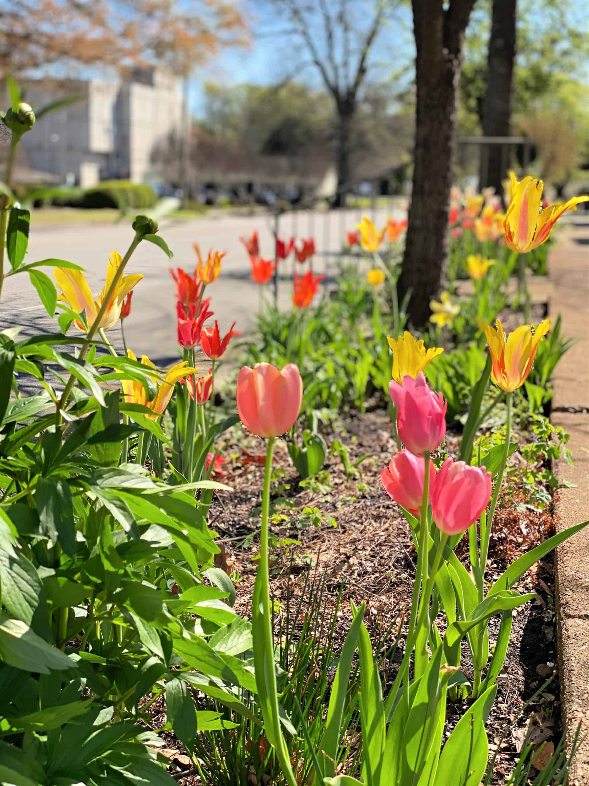 Spring, Easter, and a little escape to the coast