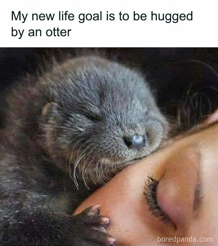 38 Hilarious Memes That Prove Women Have A Great Sense Of Humor