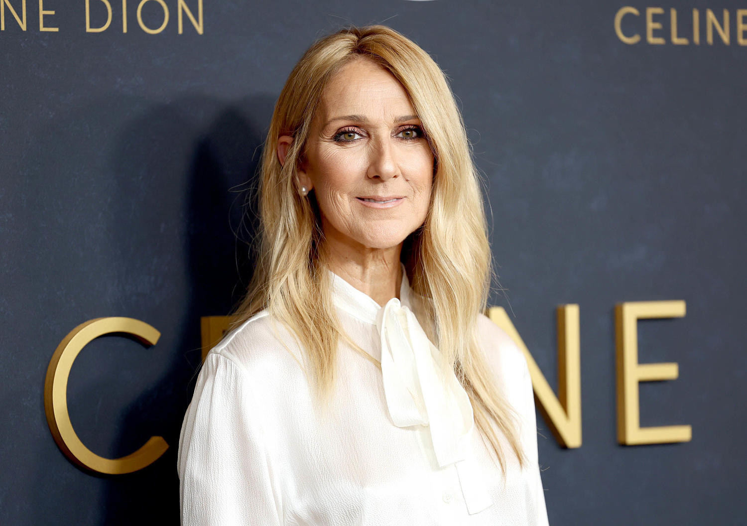 Céline Dion announces comeback with Paris concerts<br>