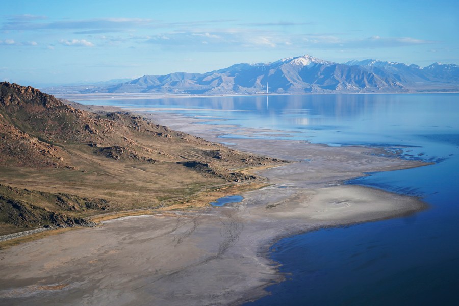 Buffalo Run on Antelope Island canceled after biting gnats hatch early<br><br>