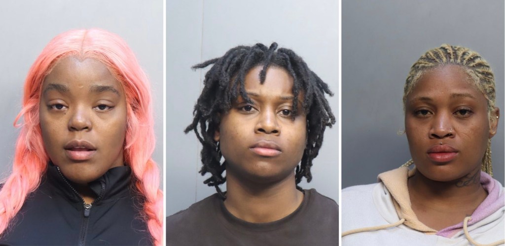 Cops arrested Nafisa Dockery, 30, Dionjana Cochran, 21, and Davana Cochran, 26 at Miami Intl. Airport Sunday evening for trespass and resisting an officer. Dockery also faces a battery charge. Turner Guilford Knight Correctional Center