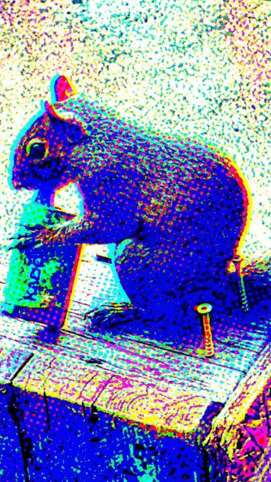 Squirrels are vaping now