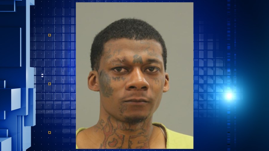 Rockford man caught after fleeing police with drugs and guns