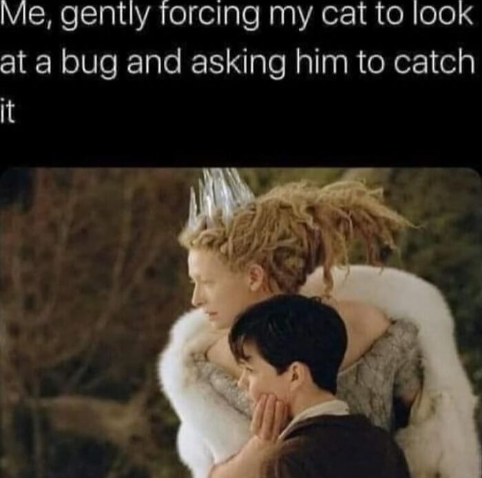 38 Hilarious Memes That Prove Women Have A Great Sense Of Humor
