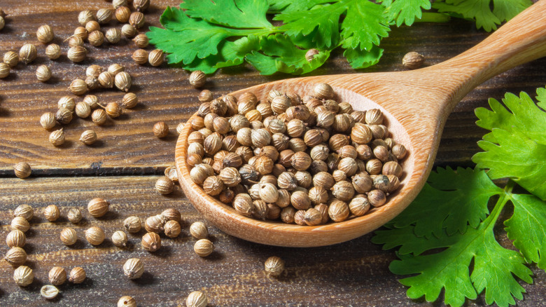 How to cook with coriander seed