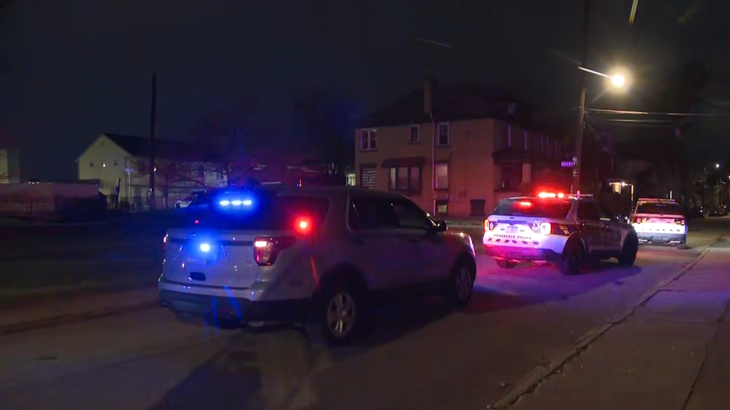 Teenage boy charged in connection with Homewood South shooting