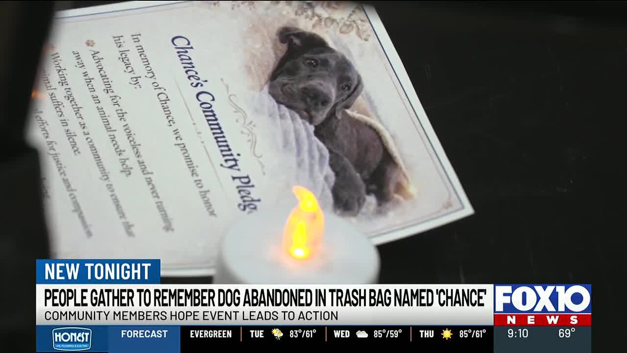 Community remembers Chance one year after dog found shot in trash bag