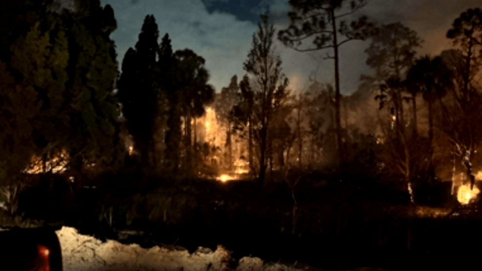 Brush fire in Hernando County 100% contained after burning more than ...