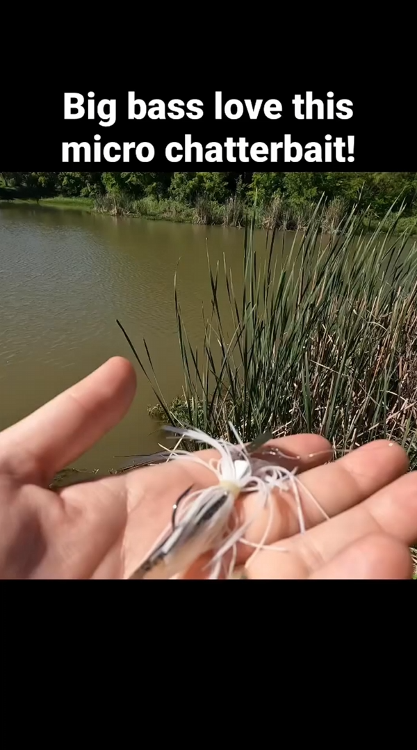 Spring bass fishing with BFS gear can’t be beat! Try this micro chatterbait