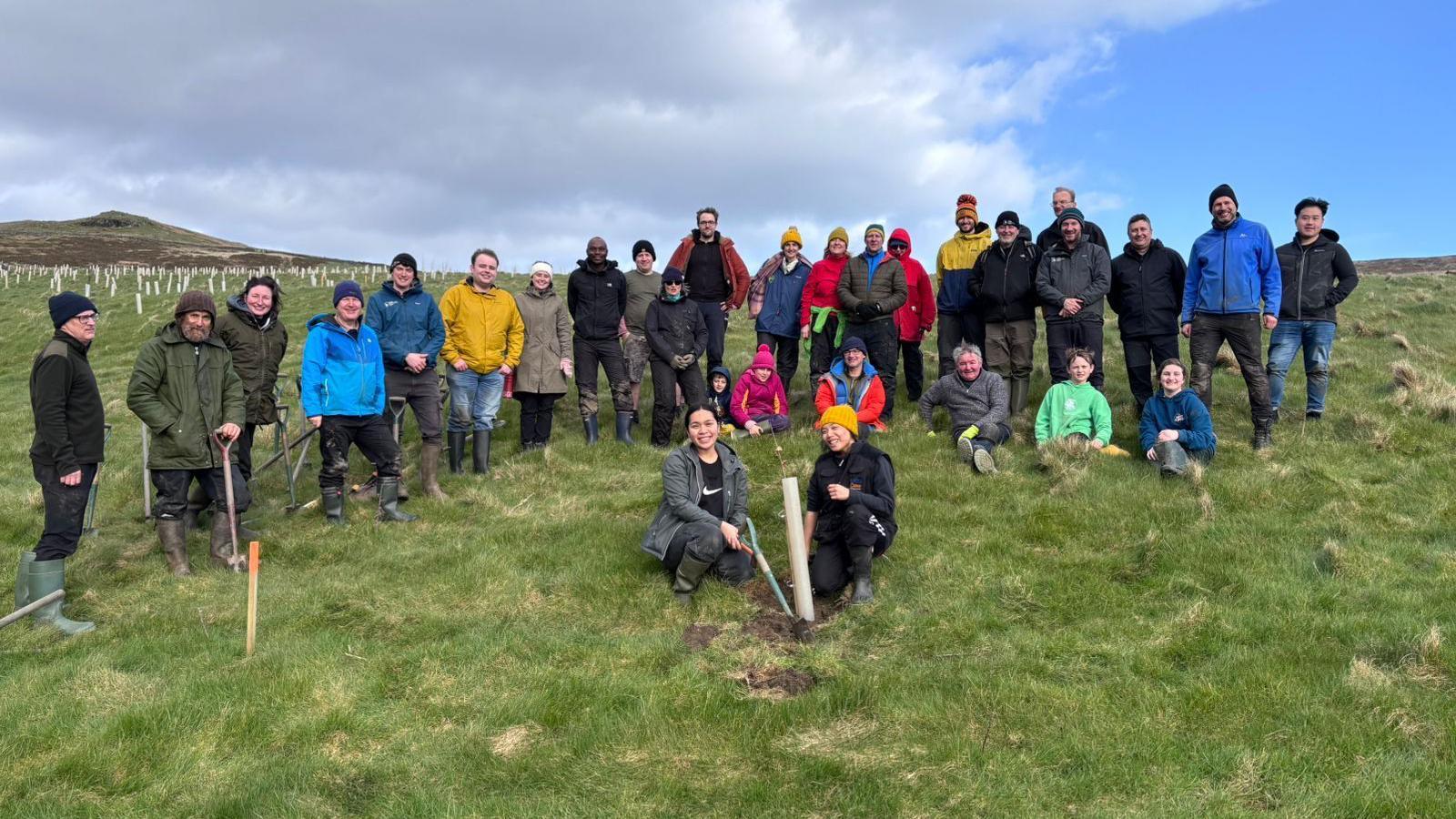 30 000 Trees Planted To Create Temperate Rainforest