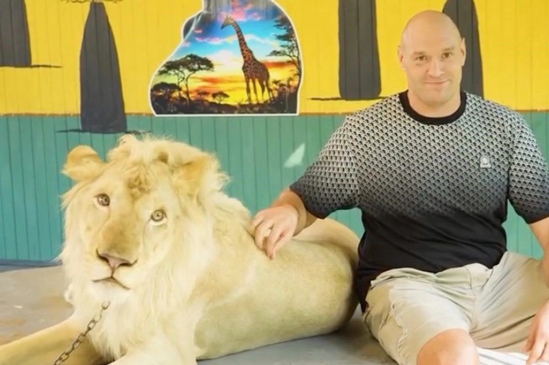 Tyson Fury backlash over chained lion post