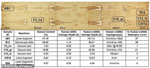 Ancient Tribe Inuit: Dna Origins Analysis – URED