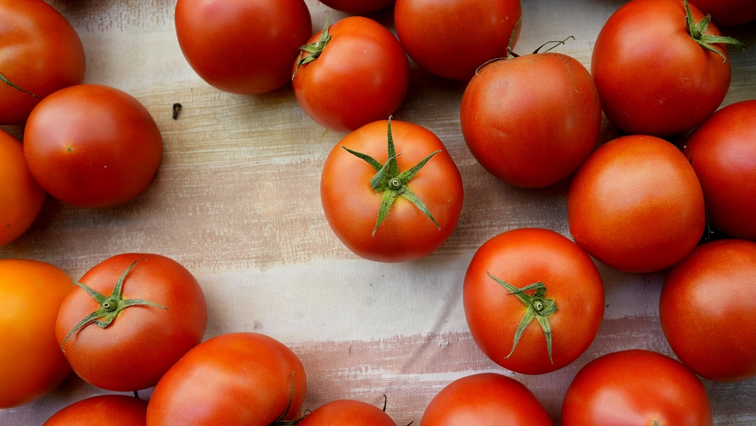 Lazy Chef unveils 18 homemade ketchup recipes