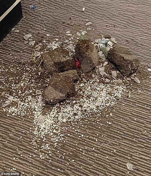 The owners estimated the cost, including clean up and 'damage control', at around £4,000 