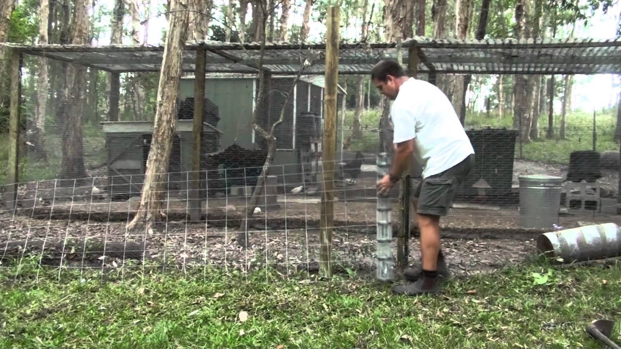 How I predator-proofed my chicken pen: Easy & affordable DIY solution