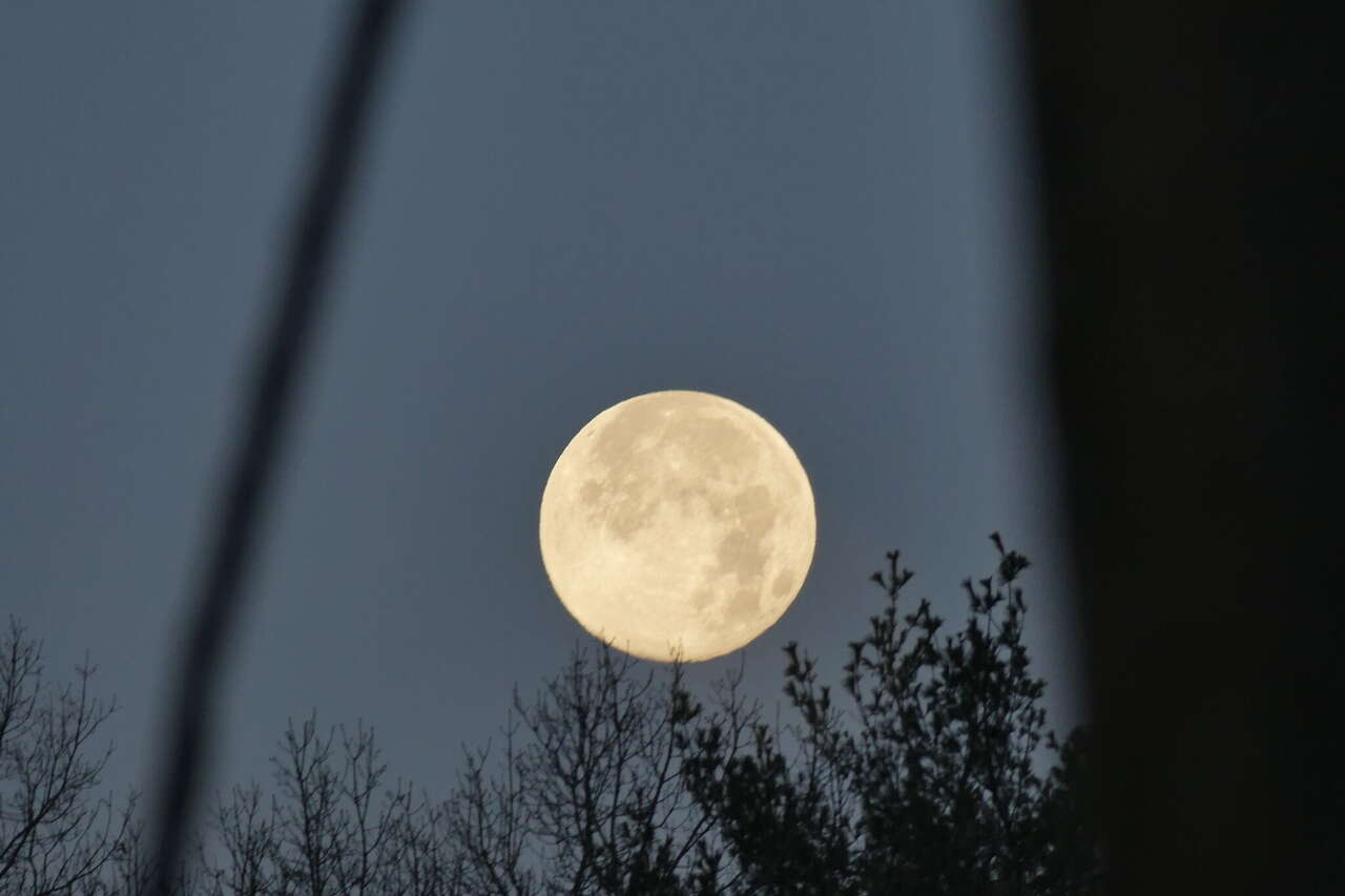 Wednesday will see a pink moon, but will it be visible in Connecticut?