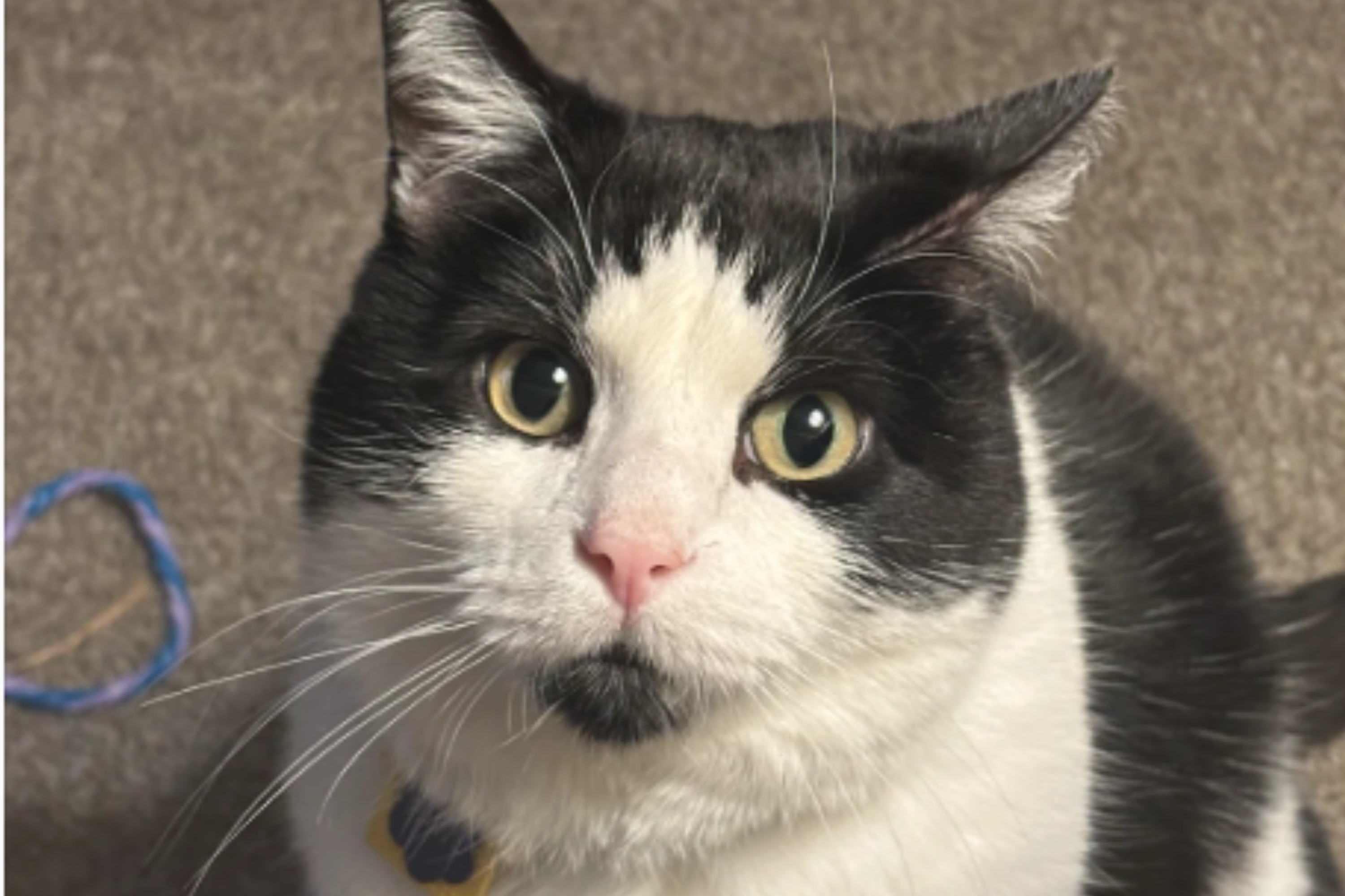 Copy of 32 – image – 2026-03-31T145213.308