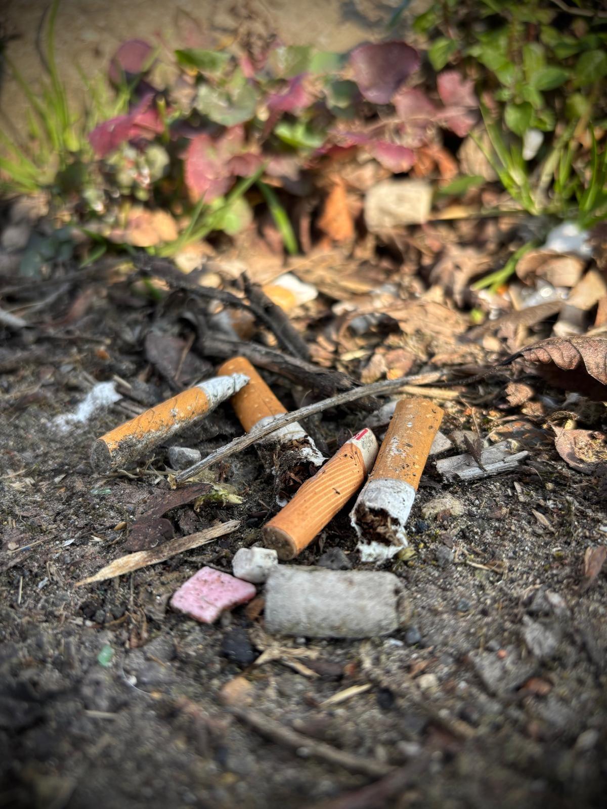 People living longer before health problems kick in