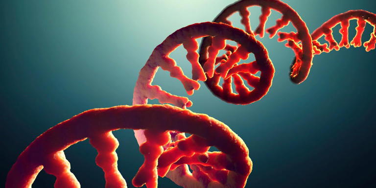 A hidden layer in your DNA is running your body
