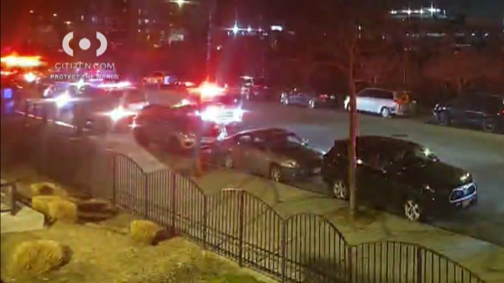 Dog fatally shot by NYPD officer after it attacked its owner in Queens