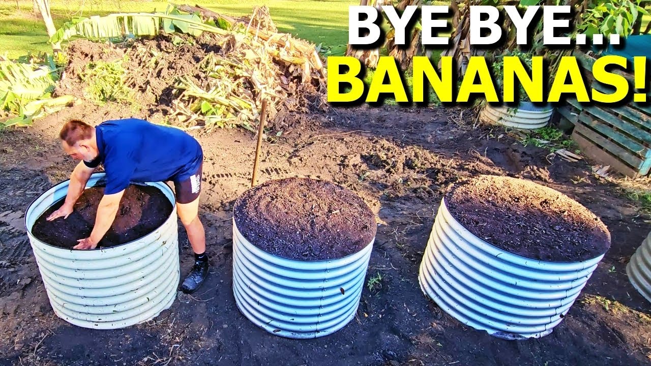 From banana jungle to beautiful raised beds: My garden makeover journey!