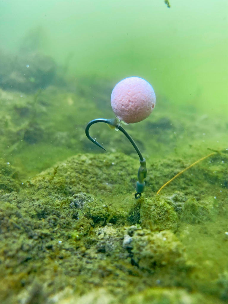 The Ronnie rig: Why it works so well for carp