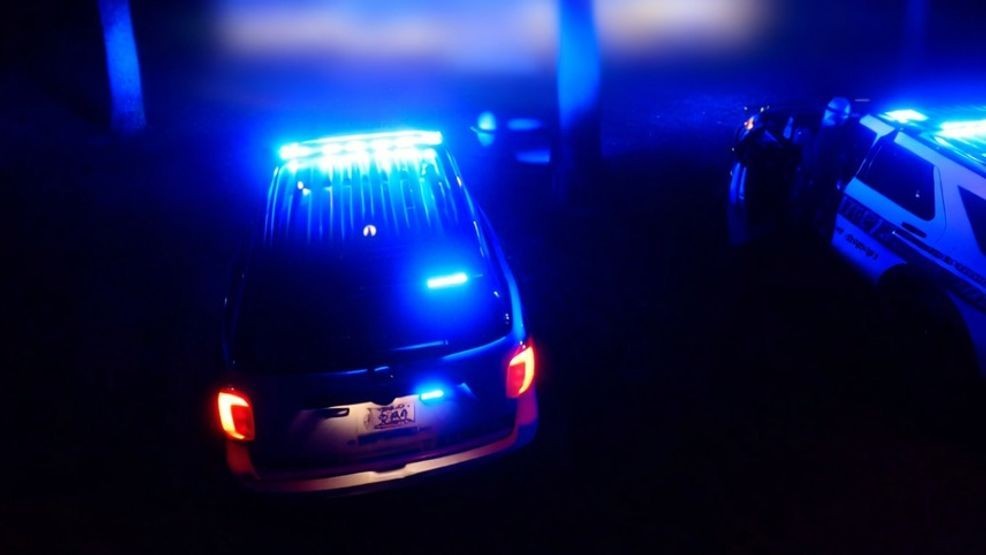 Springfield man arrested after allegedly firing shots from back porch ...