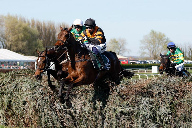 Grand National 2026 preview: 48-page guide with tips, runners & expert ...