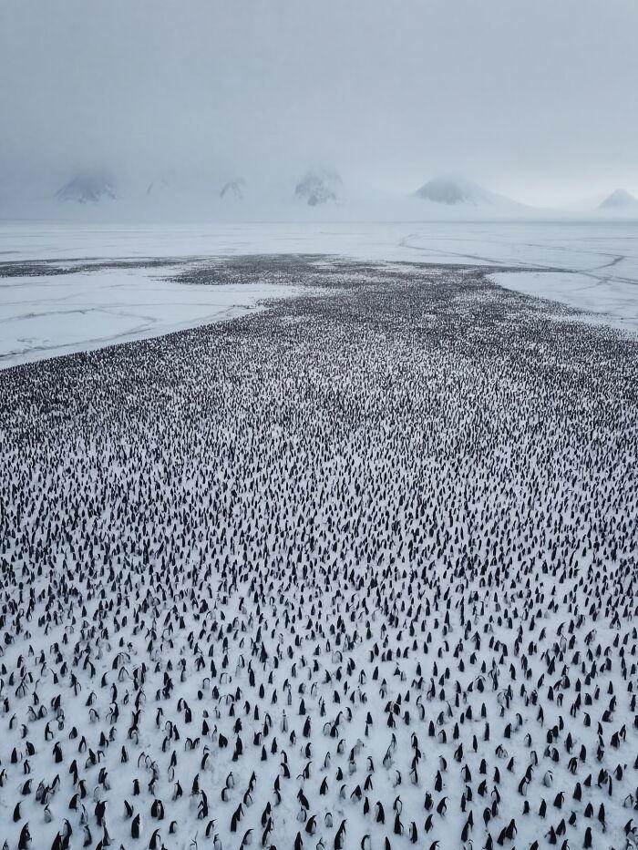 40 AI-generated nature scenes that are hard to tell from real photos