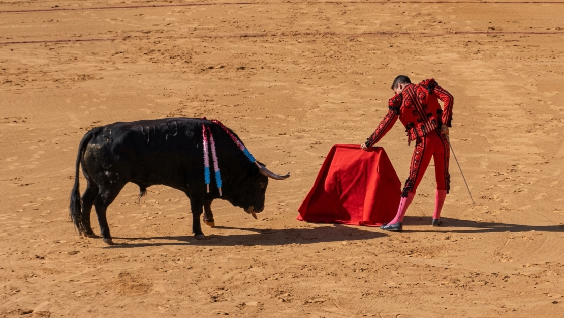 Watch what happens when he provokes an angry bull