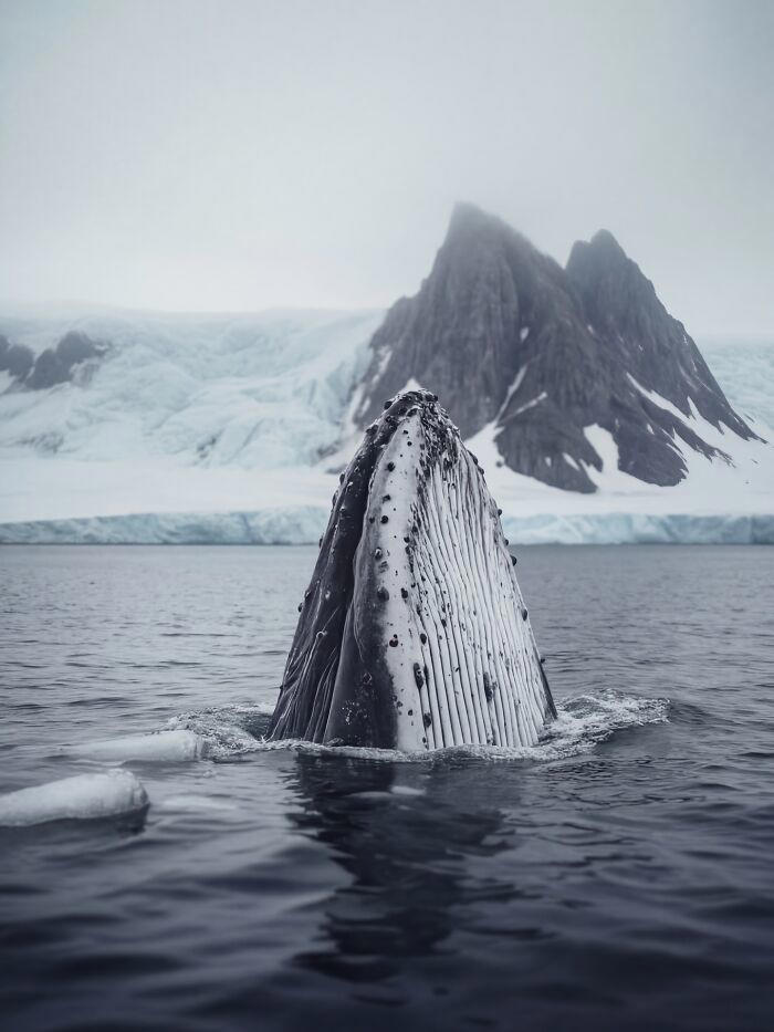 40 AI-generated nature scenes that are hard to tell from real photos