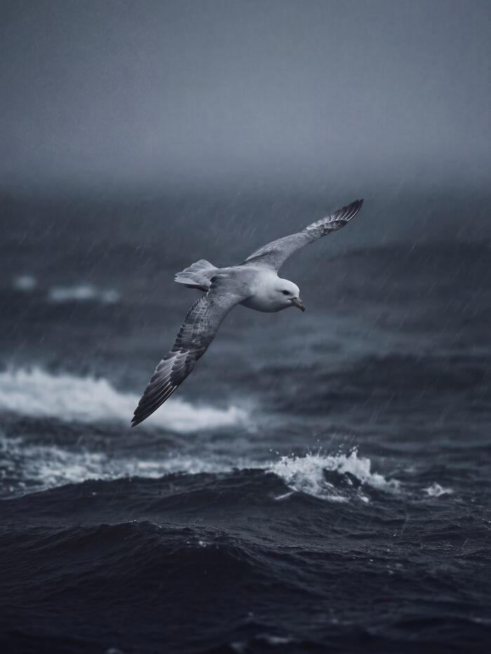 40 AI-generated nature scenes that are hard to tell from real photos