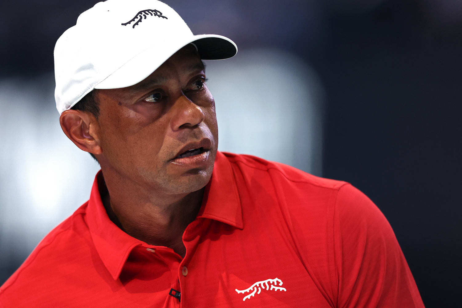 Tiger Woods was looking at phone, showed 'signs of impairment' at the ...