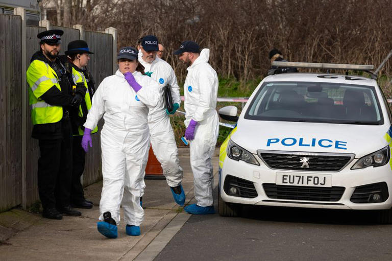 Beloved Essex mum was 'mauled to death' for 12 minutes by amateur ...