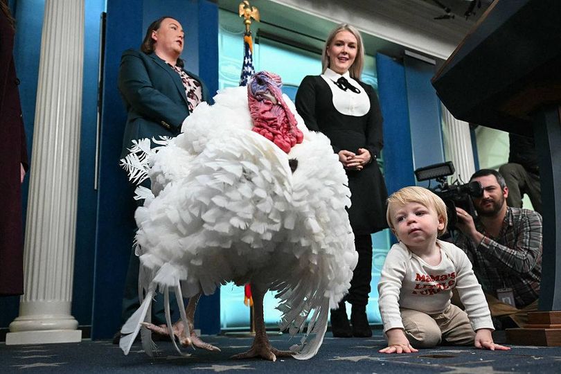 'Unflattering' Karoline Leavitt photo removed after White House 'meltdown'