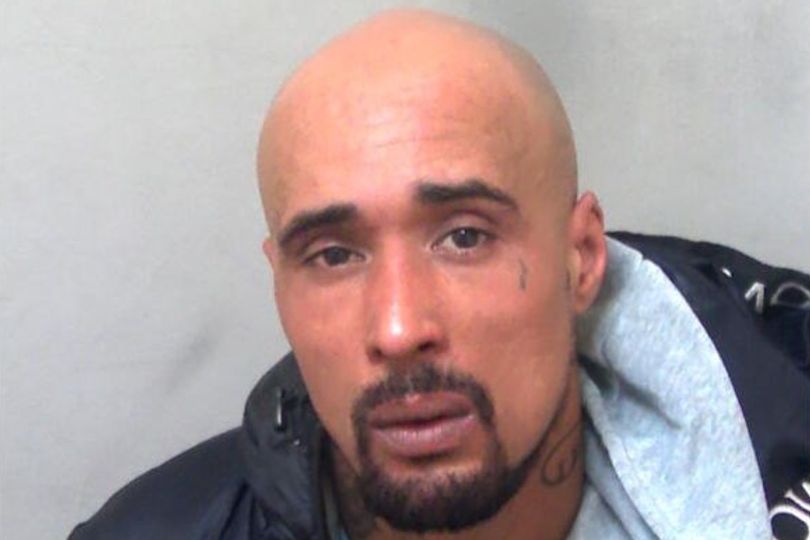 Man jailed for 10 years after XL bully dog kills pensioner