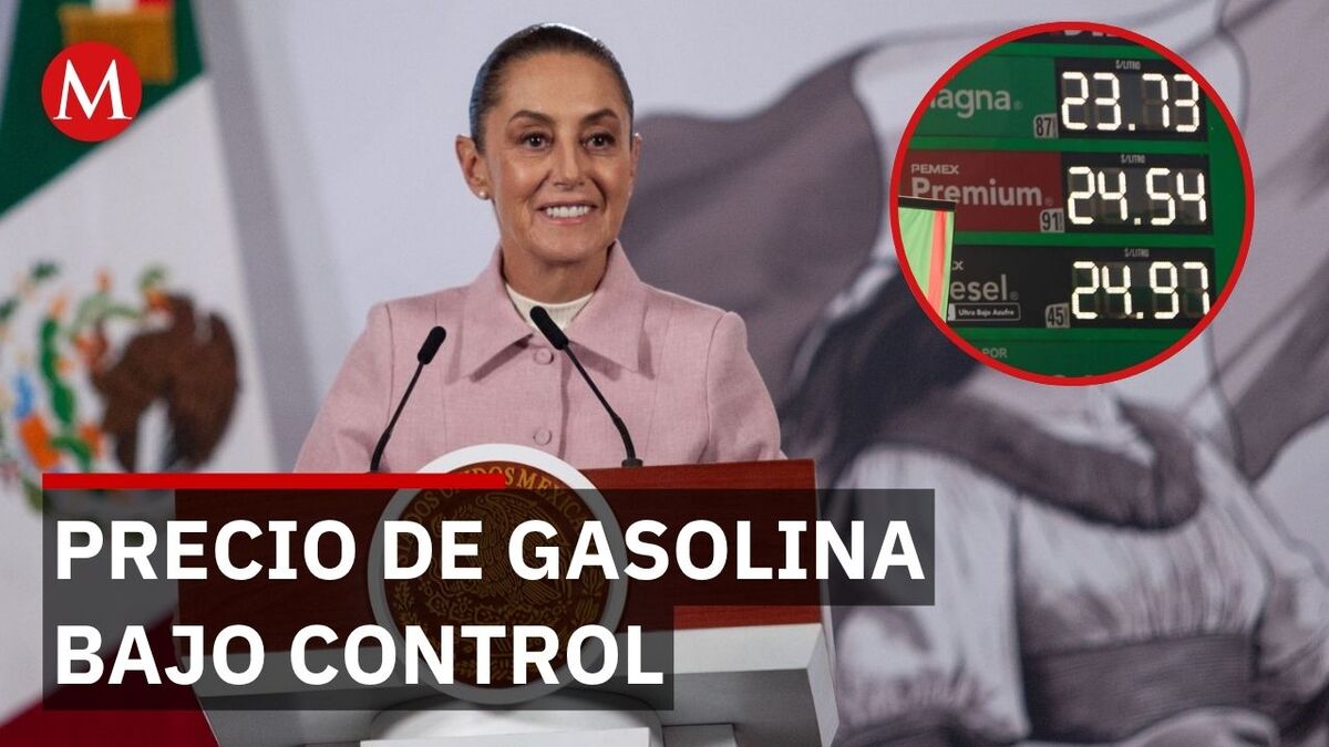 El plan del gobierno para frenar el alza de combustibles