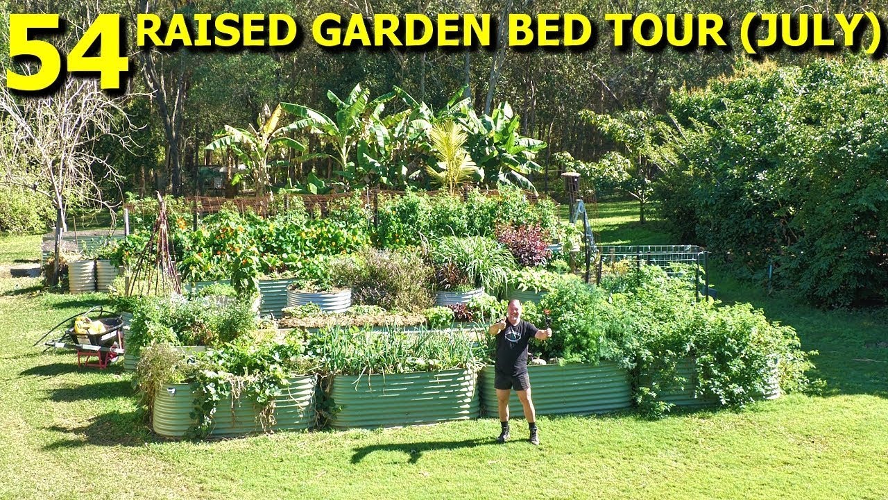 Inside 54 raised beds! Epic Self Sufficient Me vegetable garden tour