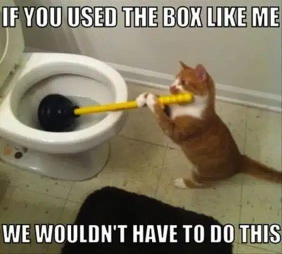 28 random plumber memes that shouldn’t be this funny