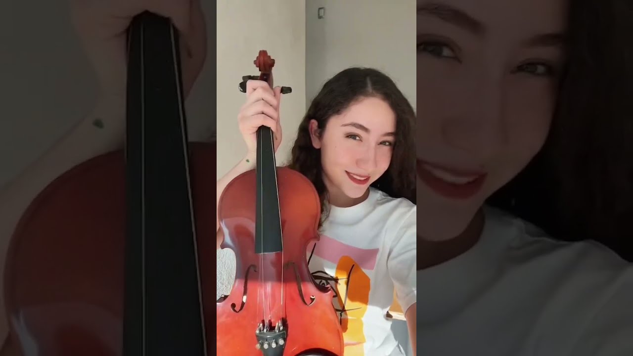 Transformo mi violín roto en una obra de arte con girasoles | Proyecto ...