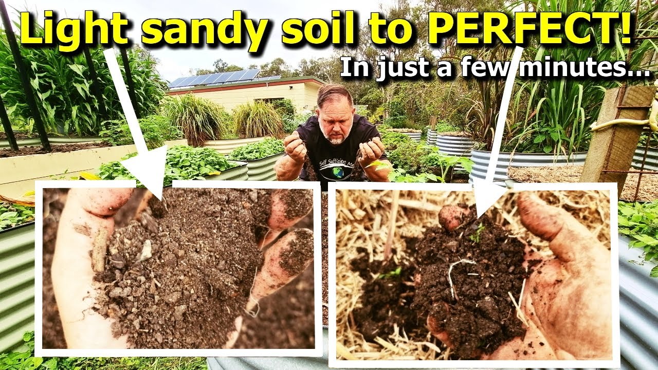 Transform sandy, depleted soil in raised beds: Easy steps for thriving ...